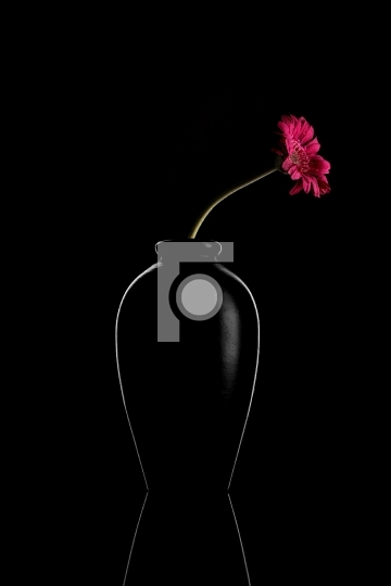 Abstract Black Flower Vase on Black Background