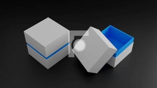 Blank Empty White Blue Jewelry or Watch Box For Mockup - 3D Illu