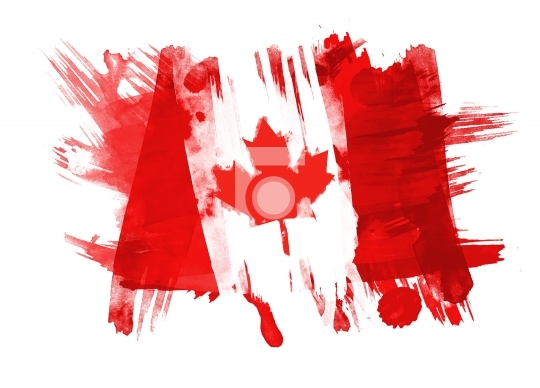 Canada Flag painted in White Background