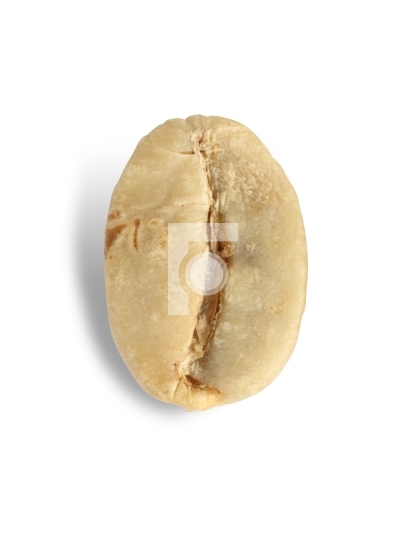 Closeup of a light colored coffee bean
