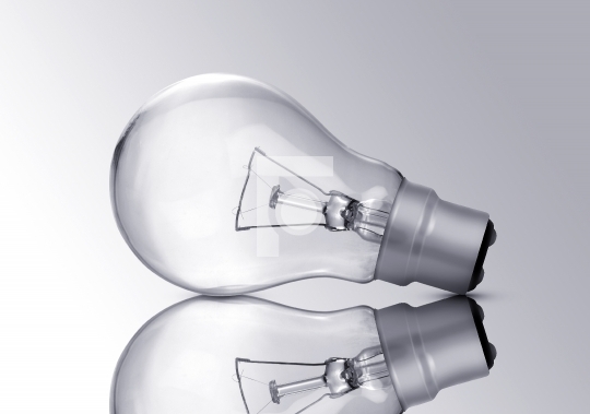 Electric Bulb Closeup isolated on grey background