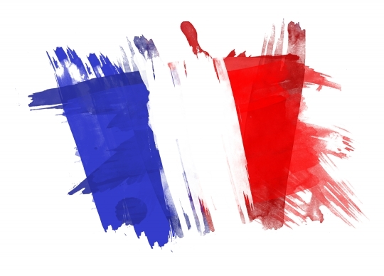 France Flag painted in White Background