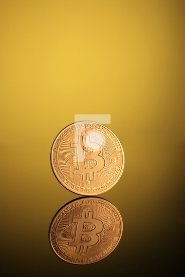 Golden Bitcoin Money Currency on Gold Background with Reflection