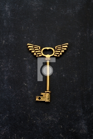 Golden Key with wings on Black Background
