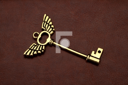 Golden Key with wings on Brown Leather Background