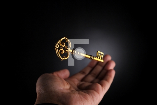 Hand Catching a Golden Key Business Opportunity Concept