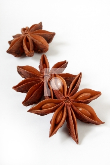 Indian herb star anise in white background
