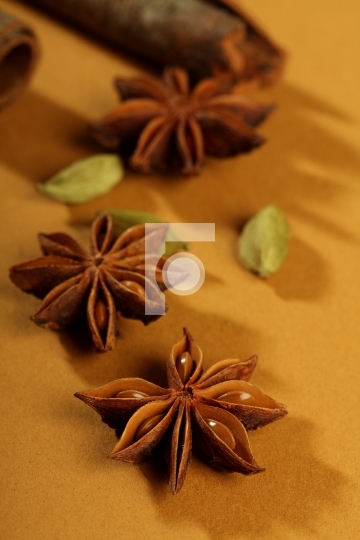 indian spices - cinnamon sticks, cinnamon, star