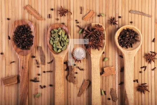 Indian Spices in Wooden Spoons / Spatula