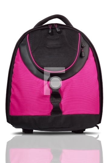 Pink and black colored backpack