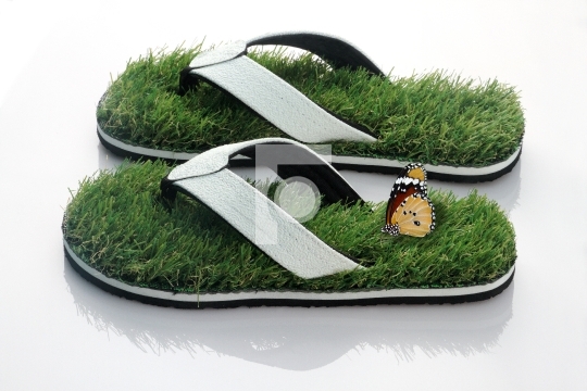 Slipper with Green Grass and butterfly on White Background
