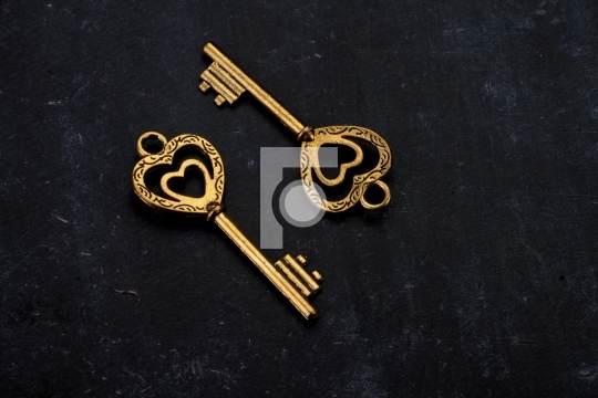 Unlock My Heart - Two Heart Shaped Golden Vintage Keys