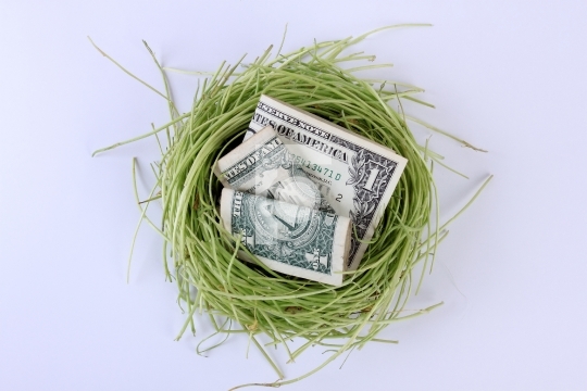 US Currency Dollars Notes in a Bird_qt_s Nest