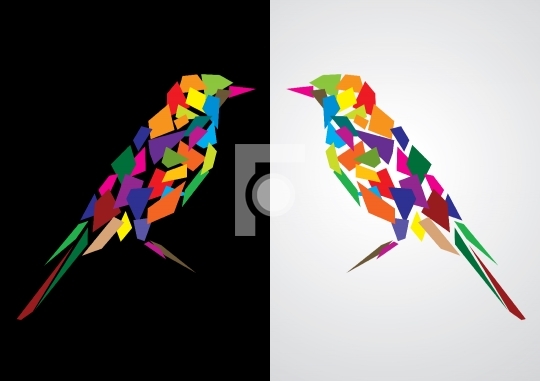 Amazing Colorful abstract bird, Vector Illustration