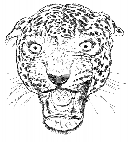 Detailed Leopard Face Vector Illustration - Handmade