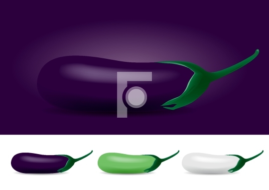 Different Colored Eggplant - Vector Illustration