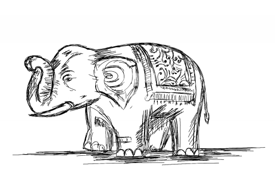 Indian Elephant Line Art Vector Illustration