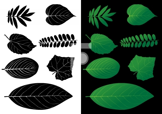 Leaf Silhouette Vector Illustrations 