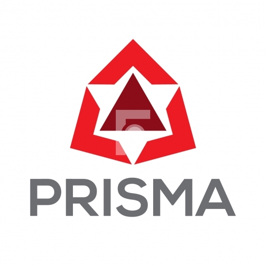 Prisma - Abstract Readymade Company Logo Template Design