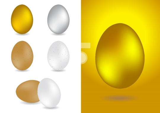 set of egg vector illustrations