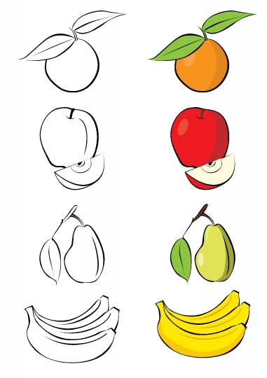 Vector illustration of different fruits
