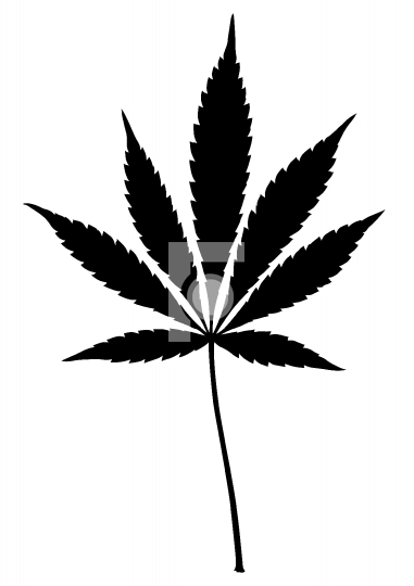 Vector Illustration of Hemp Marijuana Leaf