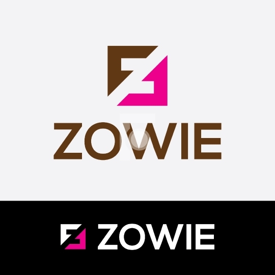 Z letter Logo - Zowie Readymade Company Logo Design Template