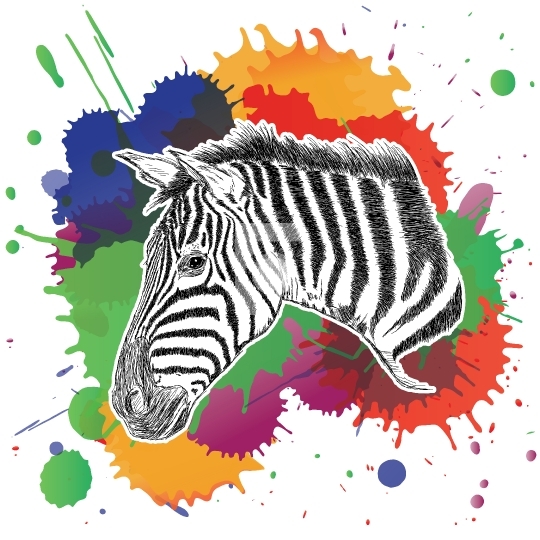 Zebra with Colorful Splashes Vector Illustration