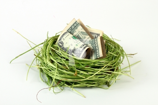 dollars in a bird nest