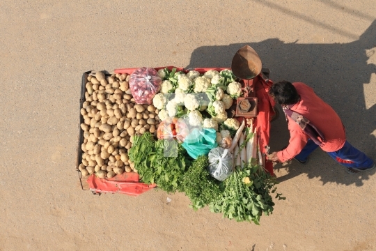 Indian Vegetable Seller with a cart- Top View